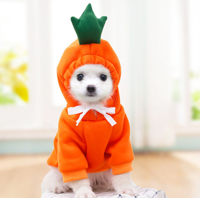 Cute Hoodies for Small Dogs 
