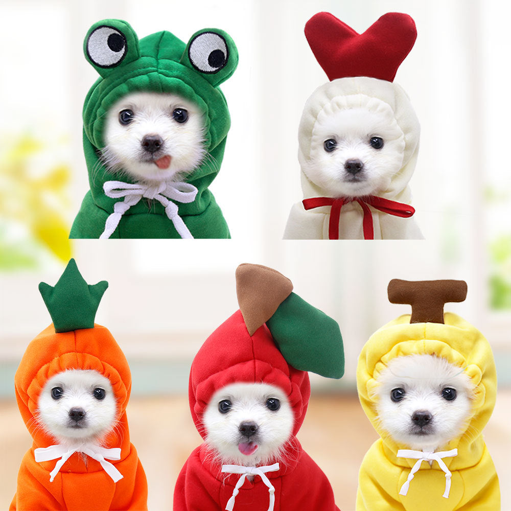 Cute Hoodies for Small Dogs 
