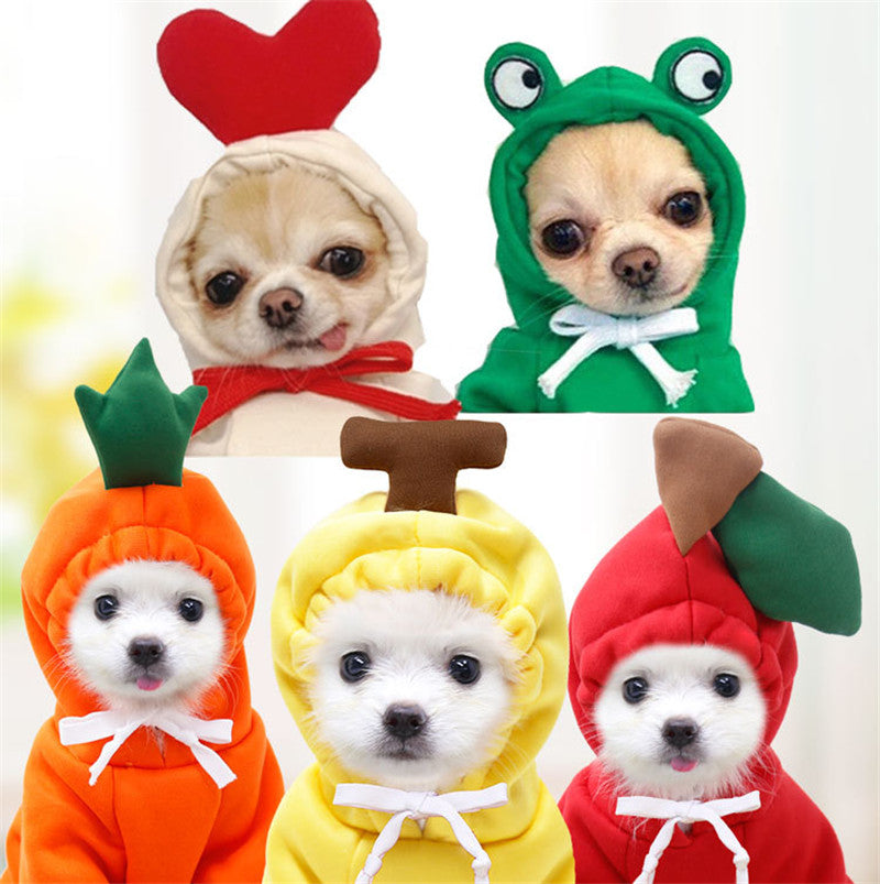 Cute Hoodies for Small Dogs 