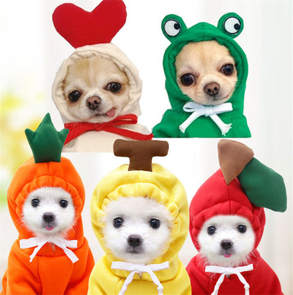 Cute Hoodies for Small Dogs 