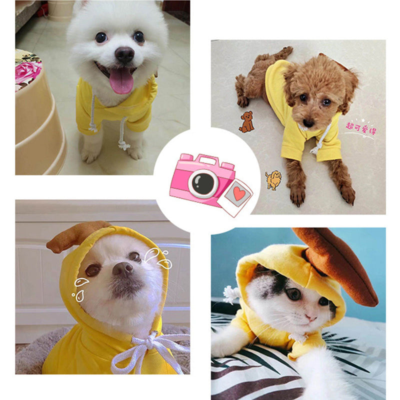 Cute Hoodies for Small Dogs 