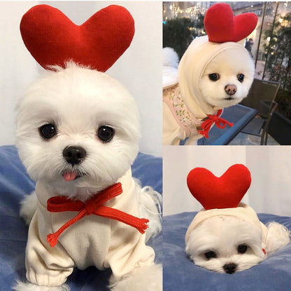 Cute Hoodies for Small Dogs 