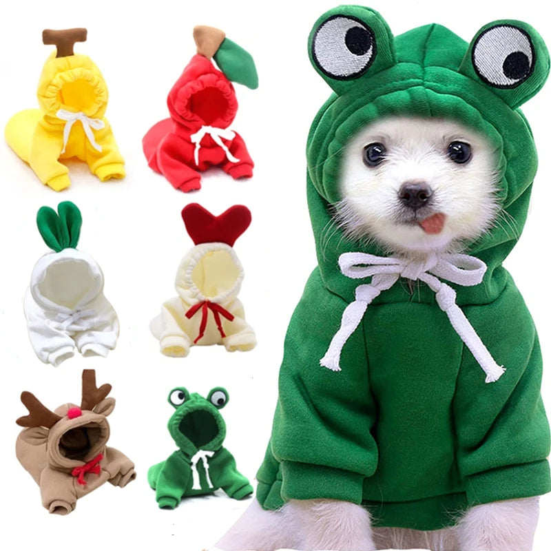 Cute Hoodies for Small Dogs 