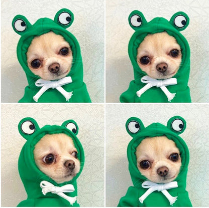 Cute Hoodies for Small Dogs 