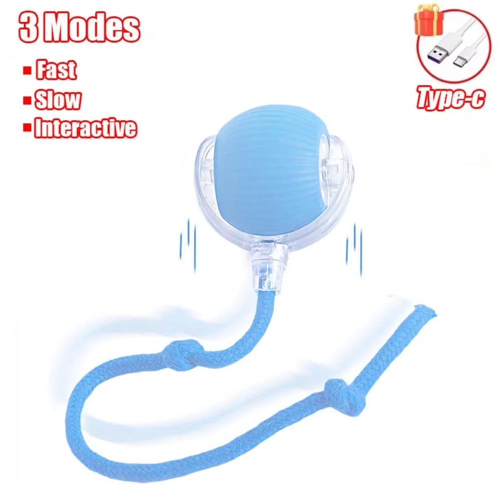Interactive Treat-Dispensing Rolling Ball