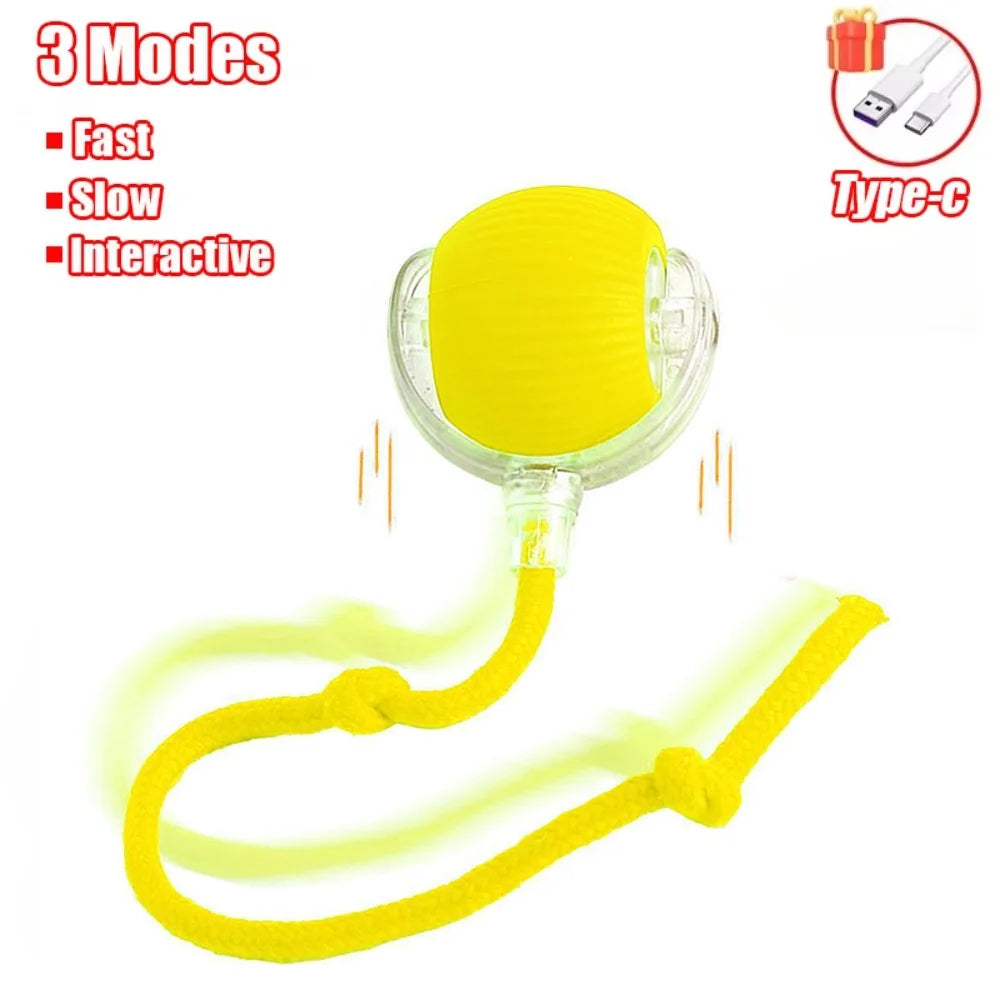 Interactive Treat-Dispensing Rolling Ball