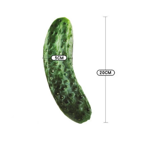 Durable Eco-Friendly Vegetable-Plush Toys