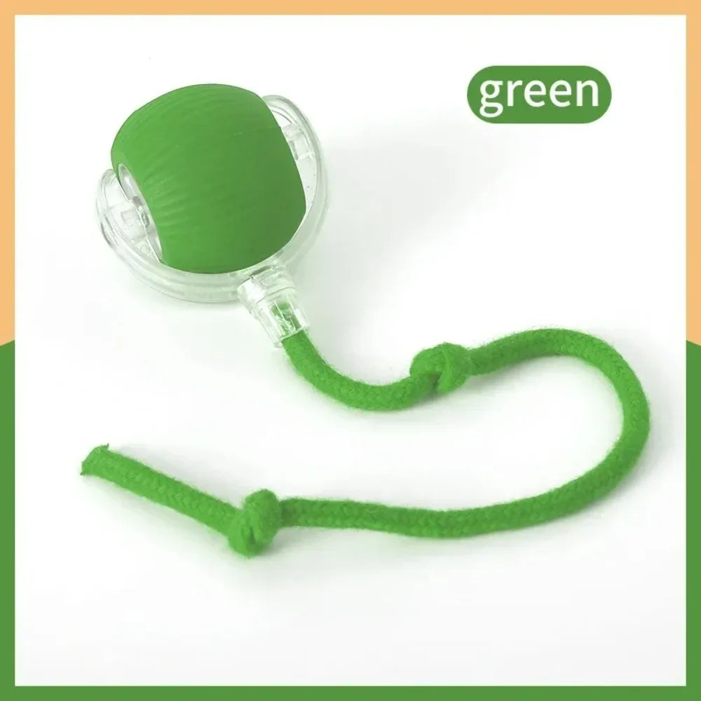 Interactive Treat-Dispensing Rolling Ball