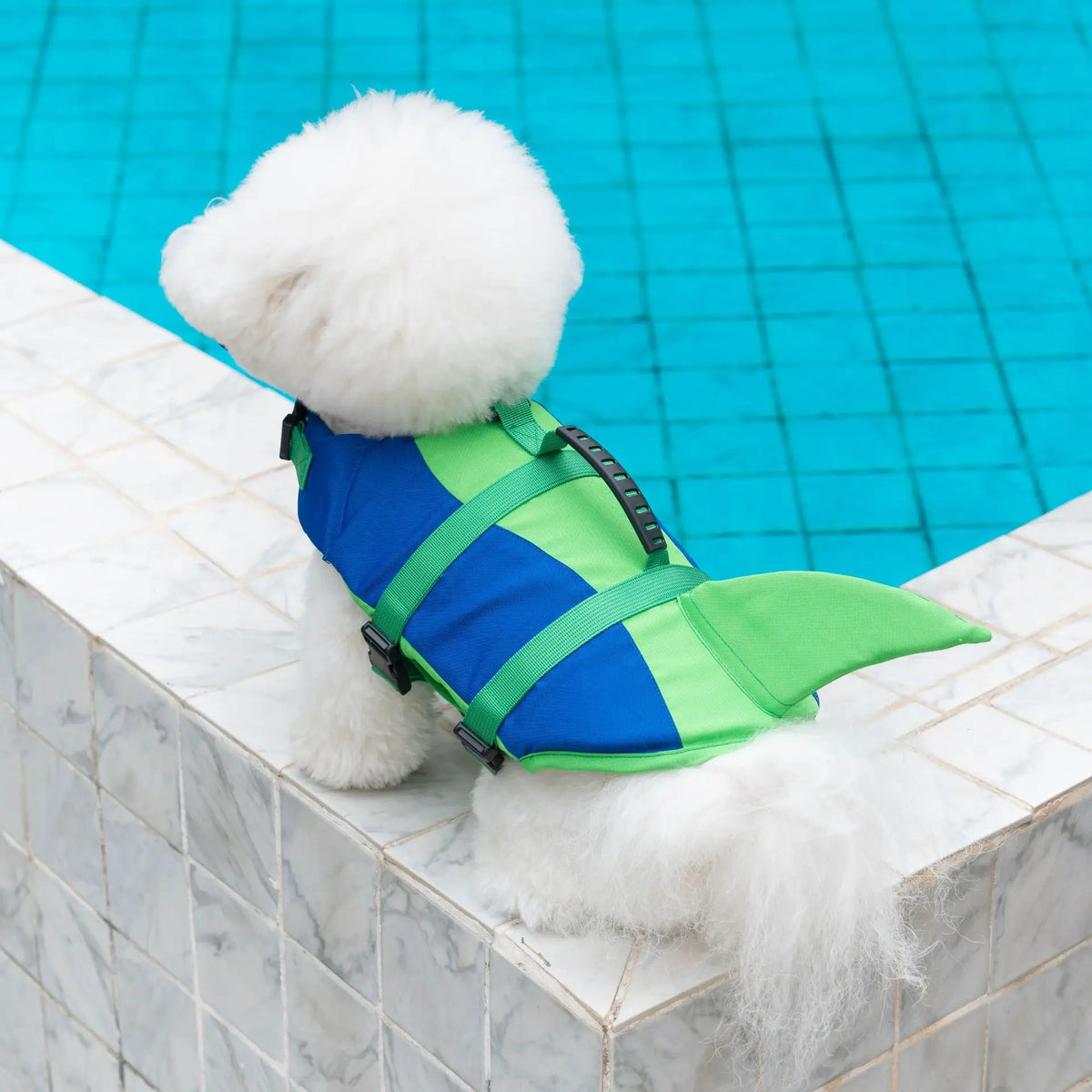 Swimming Life Jacket For Dogs