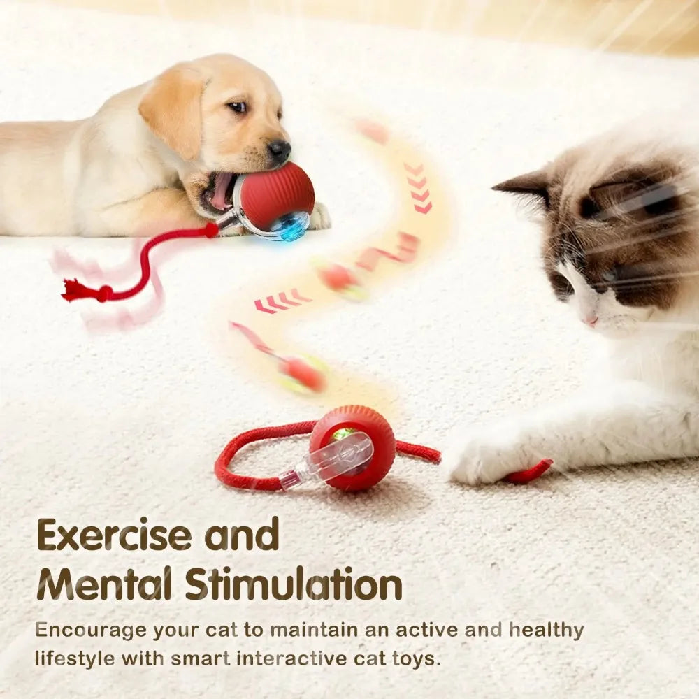Interactive Treat-Dispensing Rolling Ball
