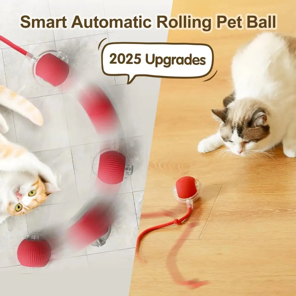 Interactive Treat-Dispensing Rolling Ball