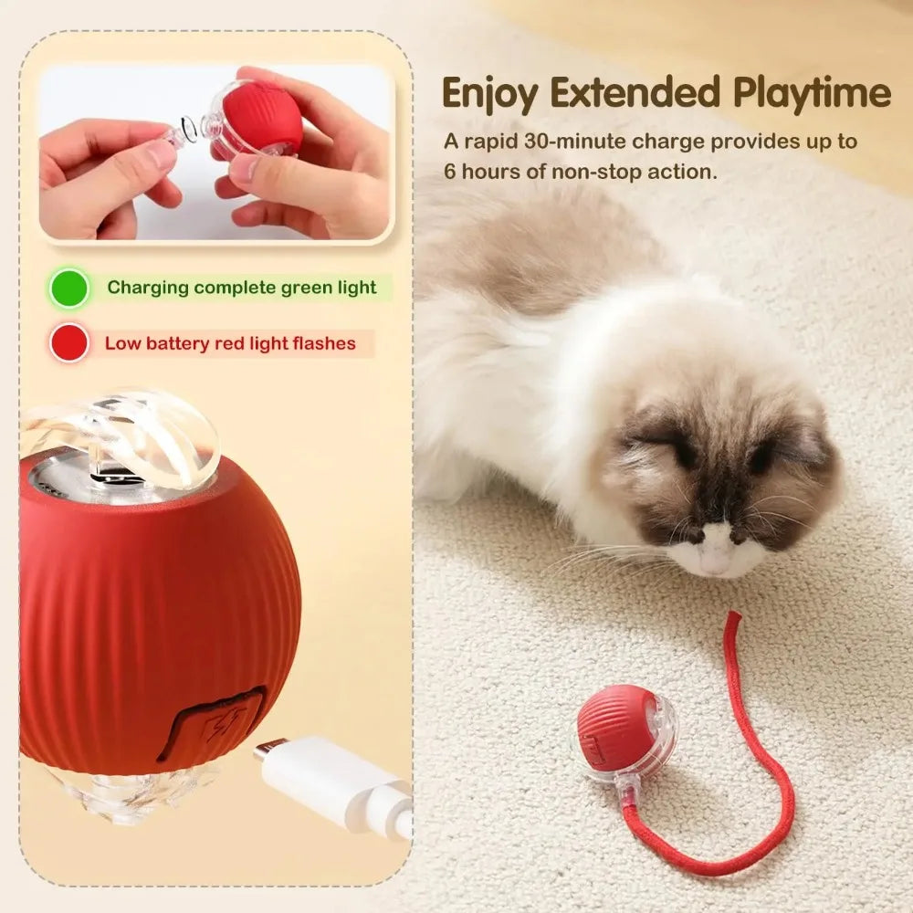 Interactive Treat-Dispensing Rolling Ball