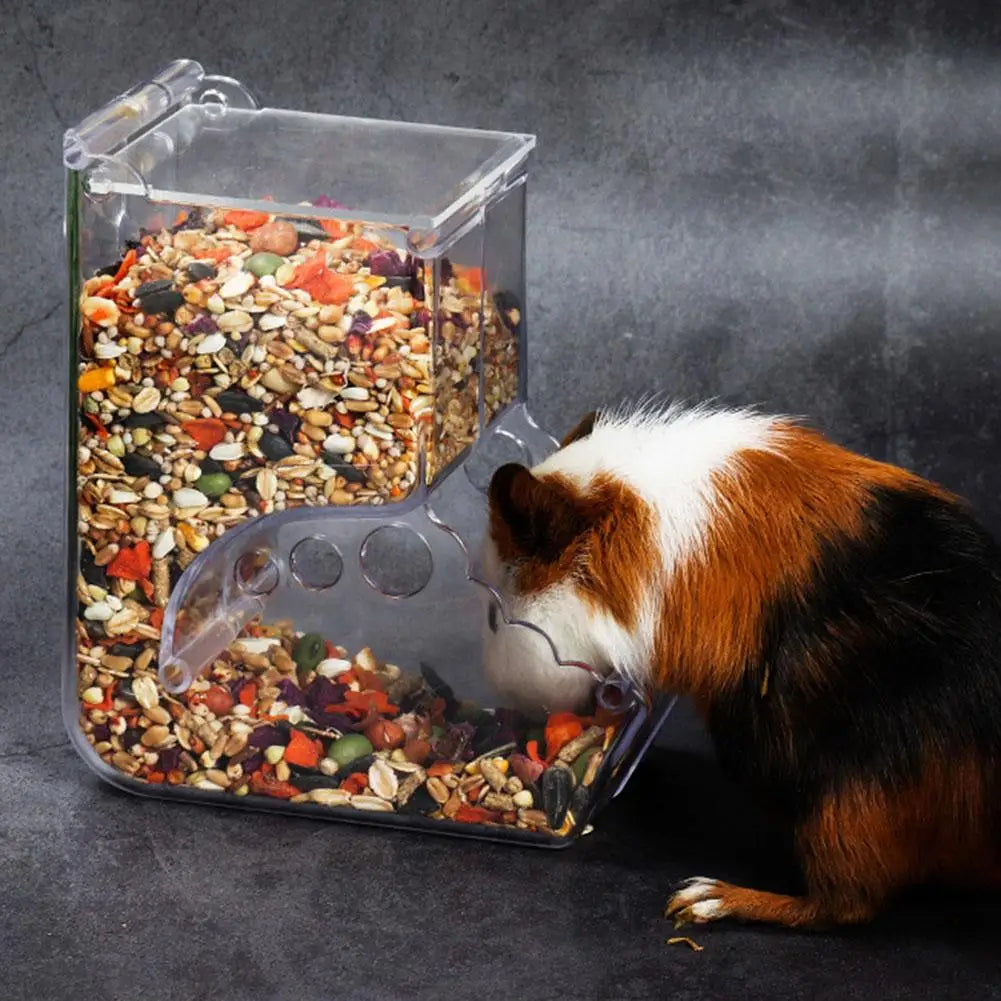 Small-Pet Food Dispenser for Hamsters & Rabbits