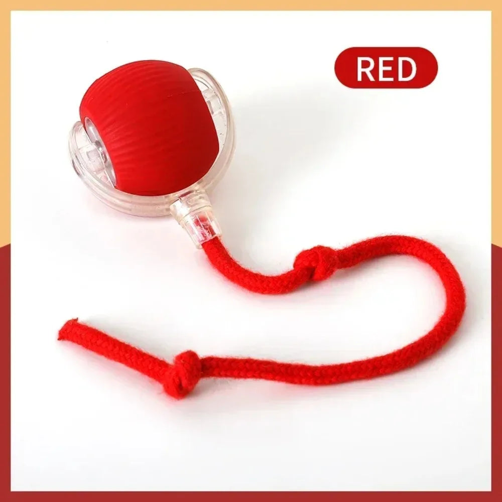 Interactive Treat-Dispensing Rolling Ball