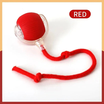 Interactive Treat-Dispensing Rolling Ball
