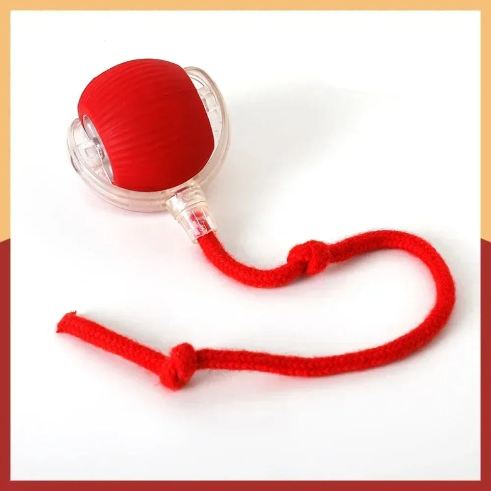 Interactive Treat-Dispensing Rolling Ball