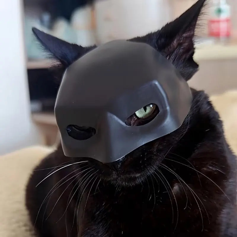 Funny Batman Mask