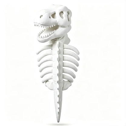 Glow in The Dark Dinosaur Skeleton Costume