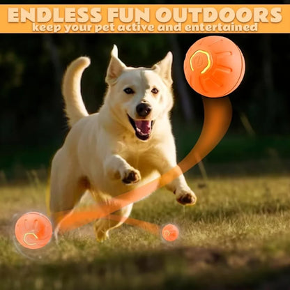 Electric Amusement Pet Ball
