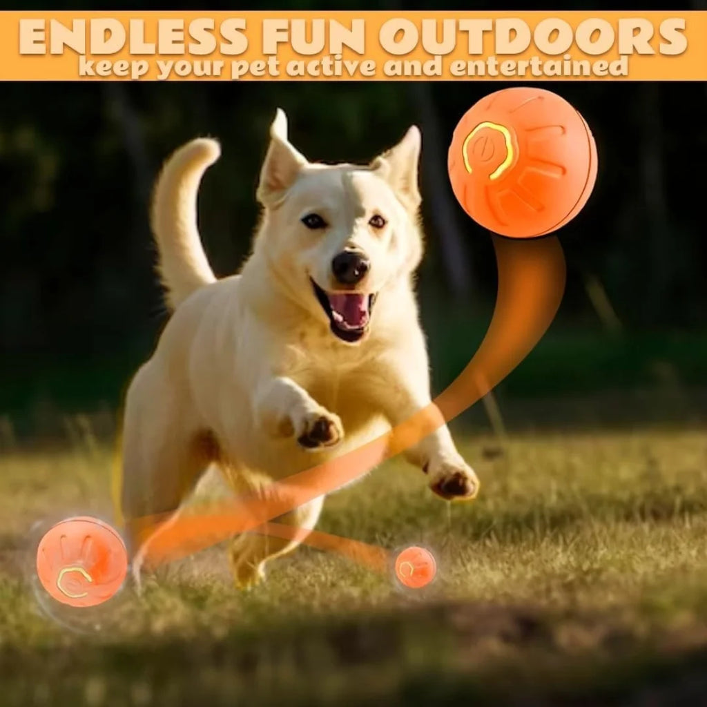 Electric Amusement Pet Ball