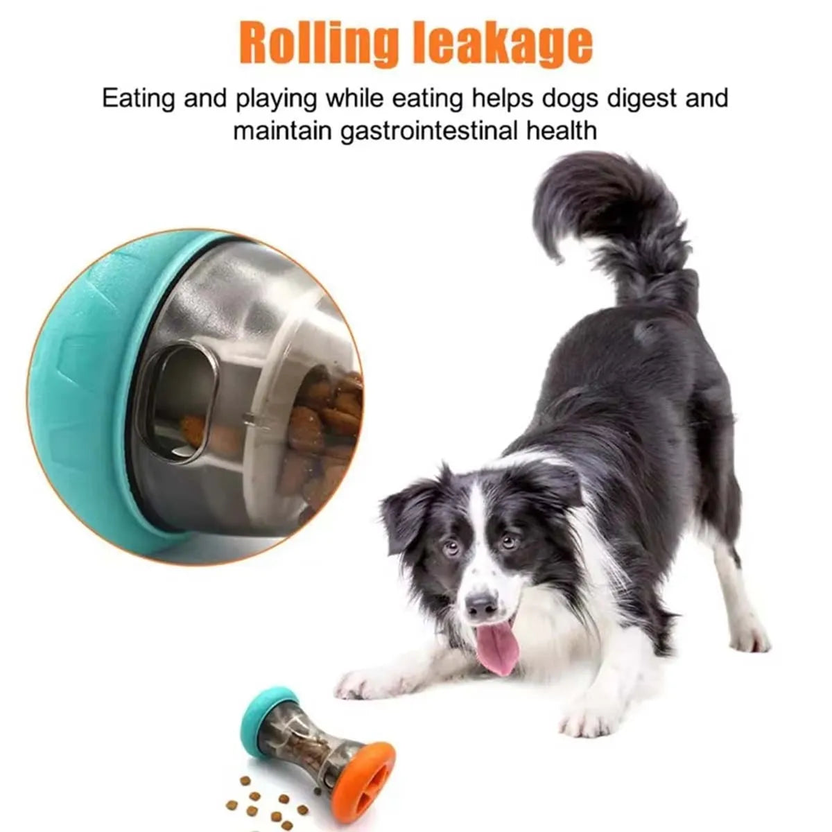 Slow-Feed Treat Dispensing Puzzle Toy