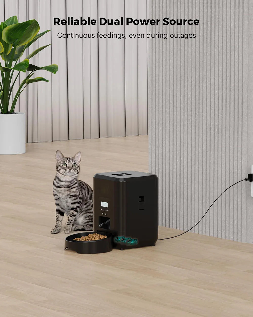Smart Pet Feeder with App Control