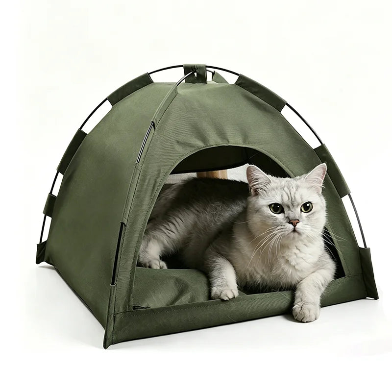 Kitten Tent