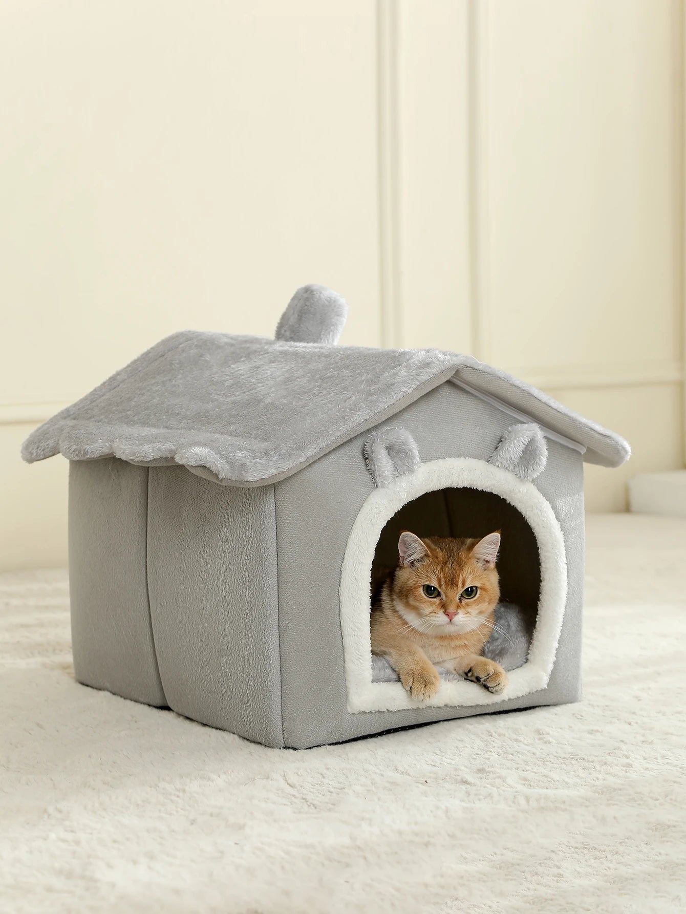 Cat House