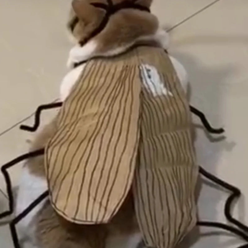 Cockroach Pet Costume
