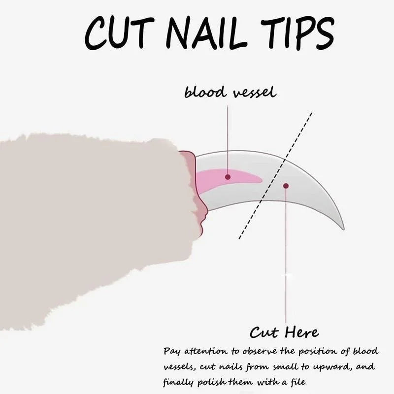 Pet Nail Clipper with Safety Guard
