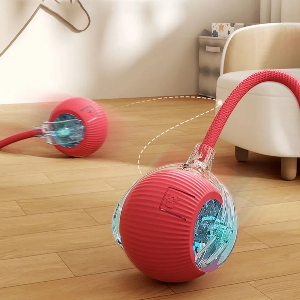 Interactive Treat-Dispensing Rolling Ball