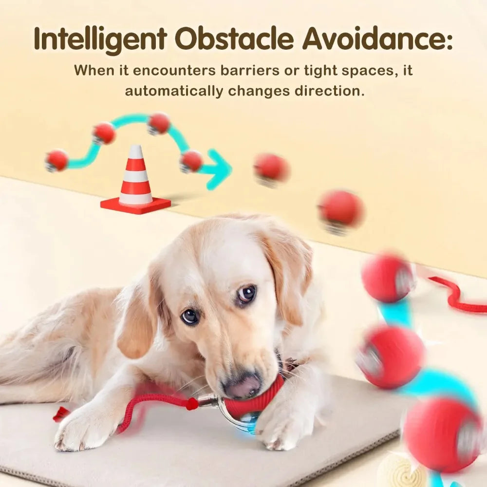 Interactive Treat-Dispensing Rolling Ball