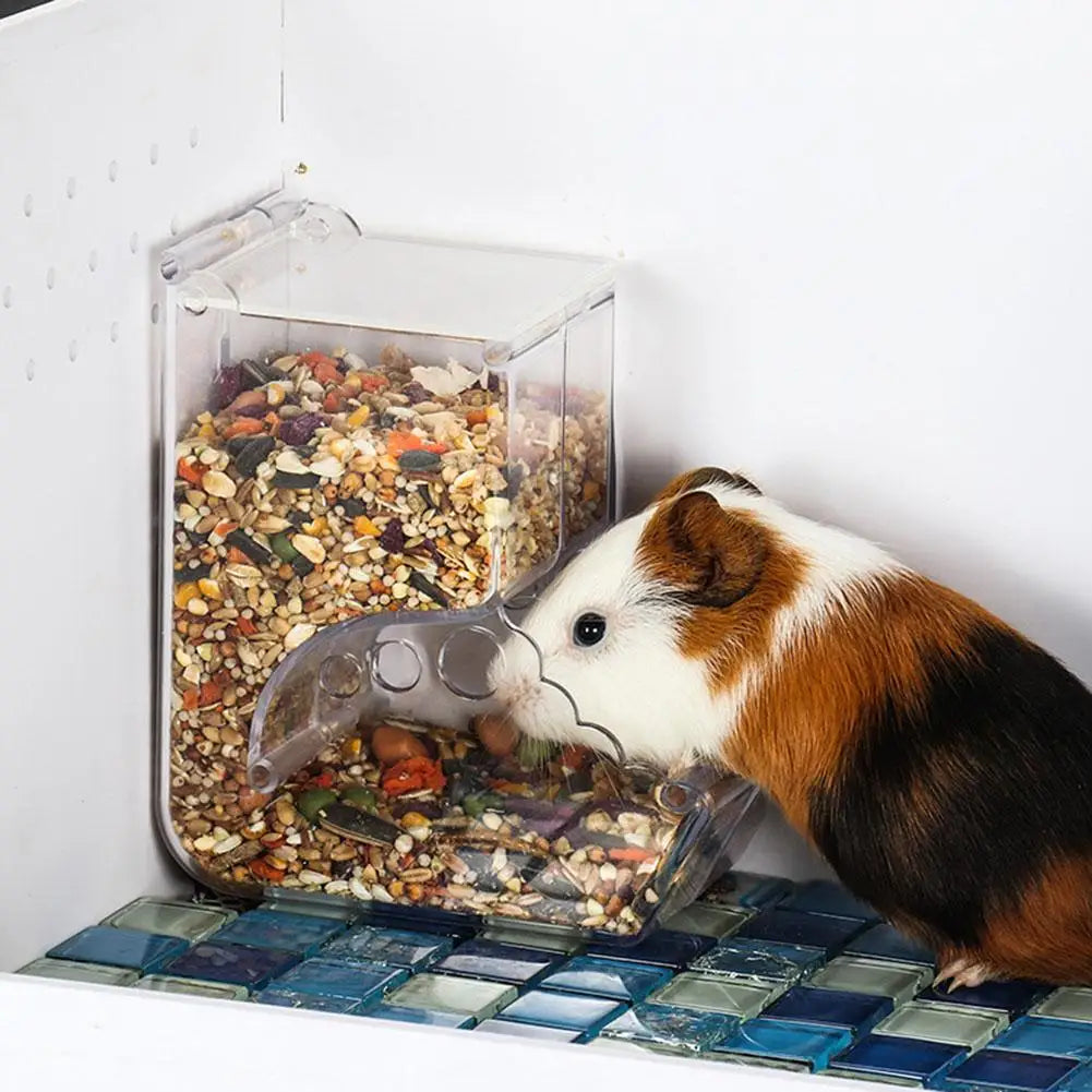 Small-Pet Food Dispenser for Hamsters & Rabbits