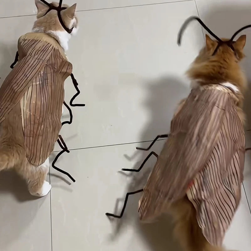 Cockroach Pet Costume