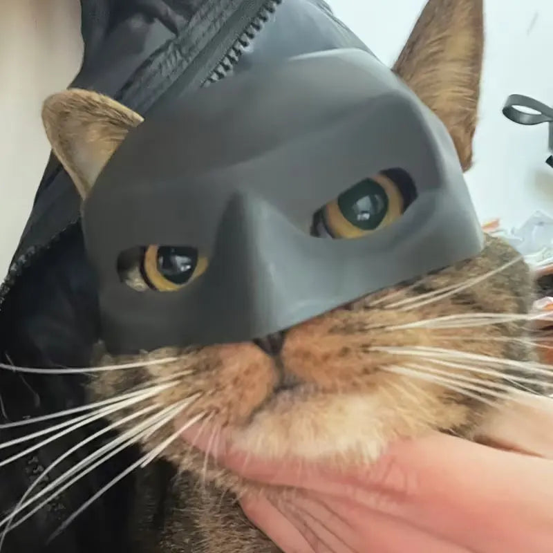 Funny Batman Mask