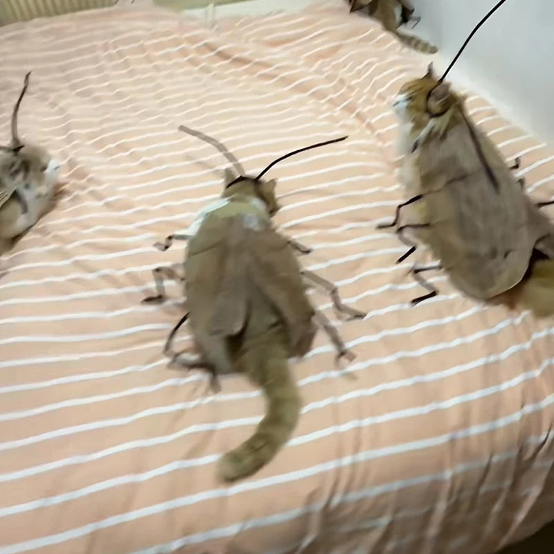 Cockroach Pet Costume