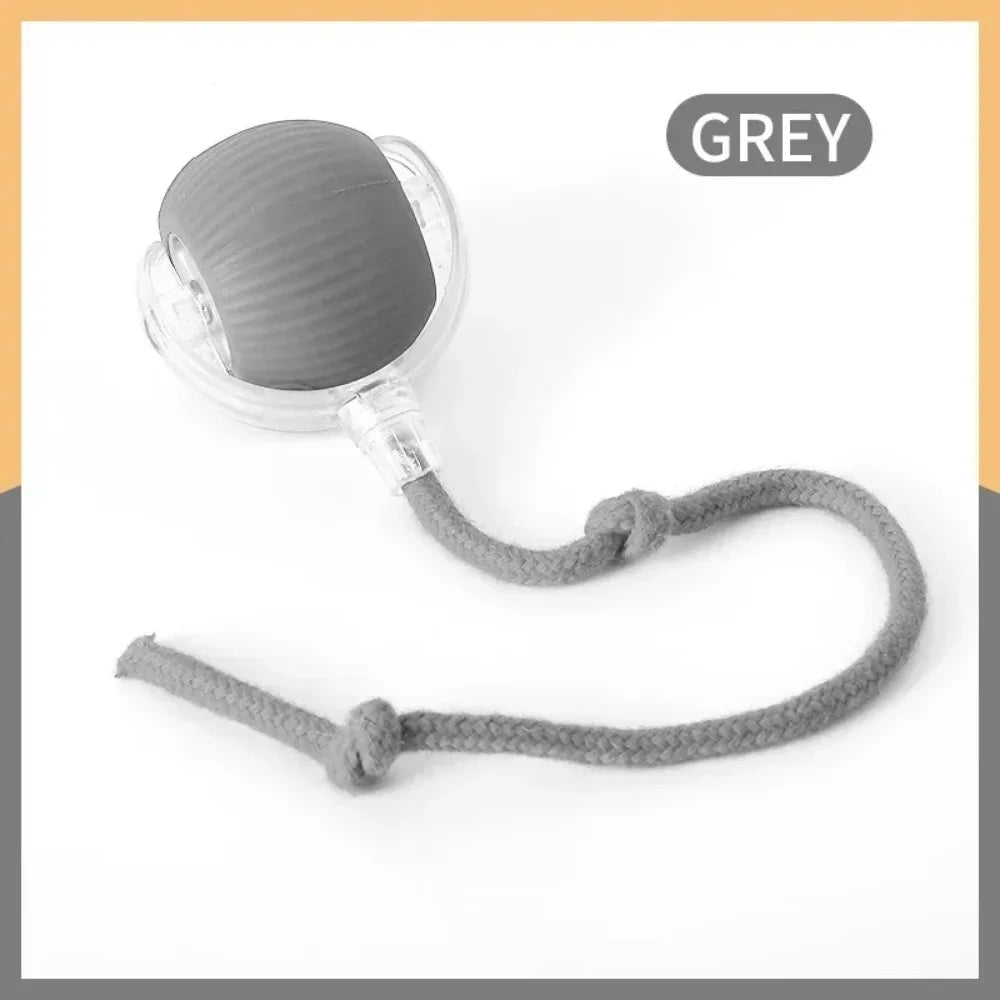 Interactive Treat-Dispensing Rolling Ball