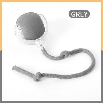 Interactive Treat-Dispensing Rolling Ball