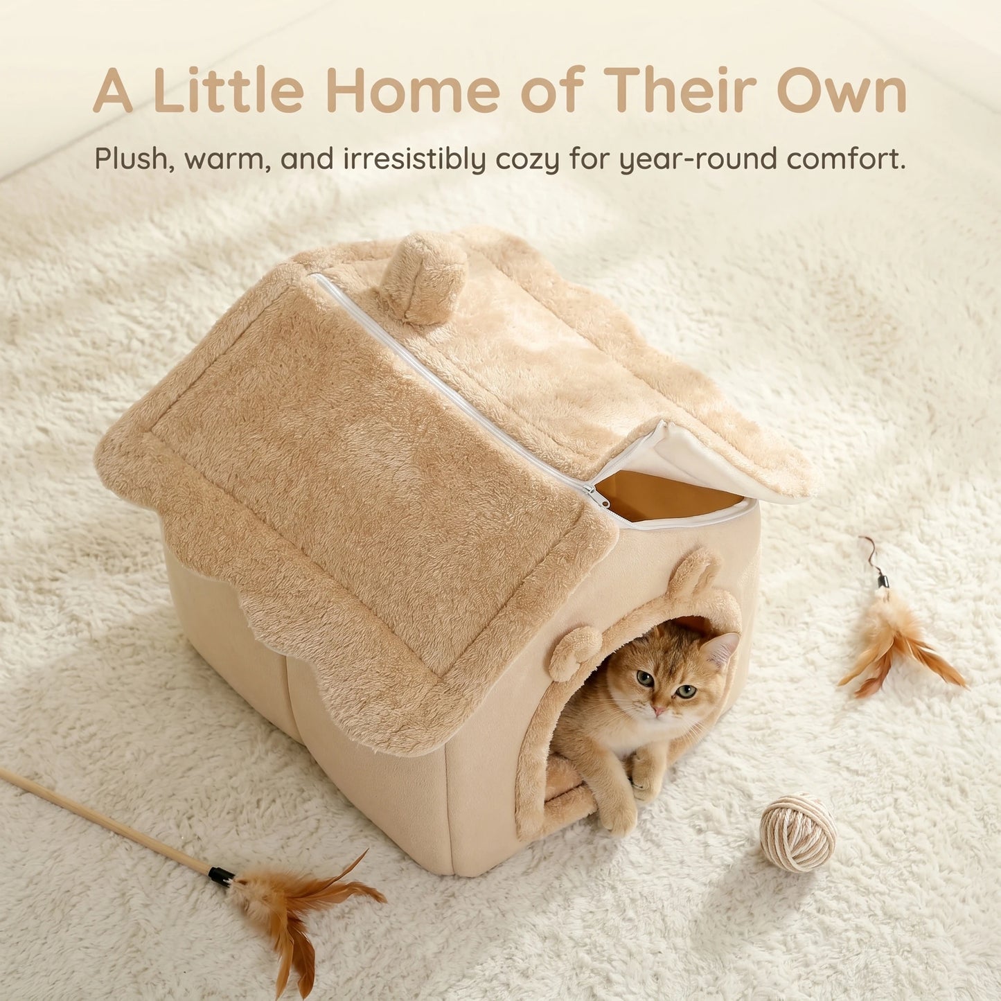 Cat House