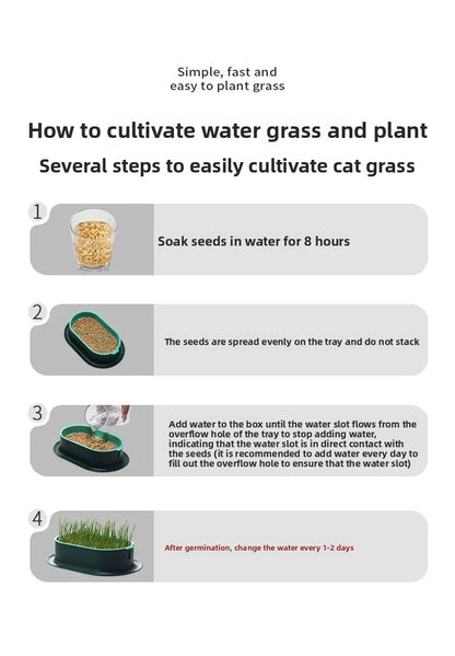Hydroponic Cat Grass Box