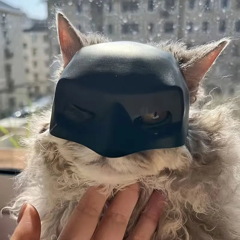 Funny Batman Mask