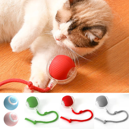 Interactive Treat-Dispensing Rolling Ball
