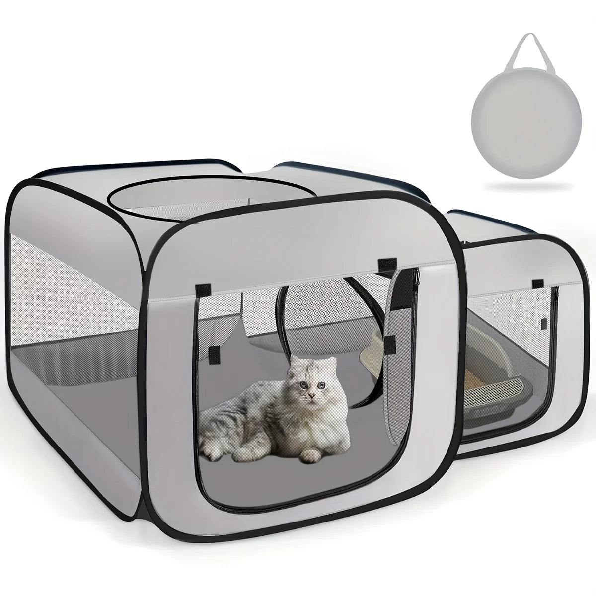 Kitty Dome