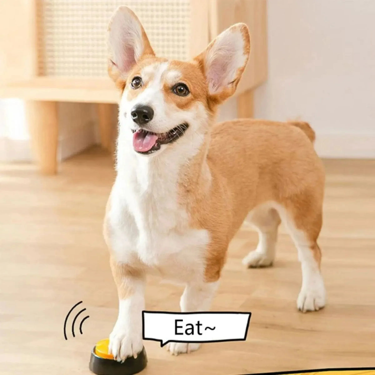 Pet Communication Buttons