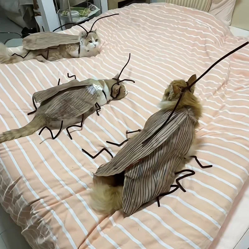 Cockroach Pet Costume