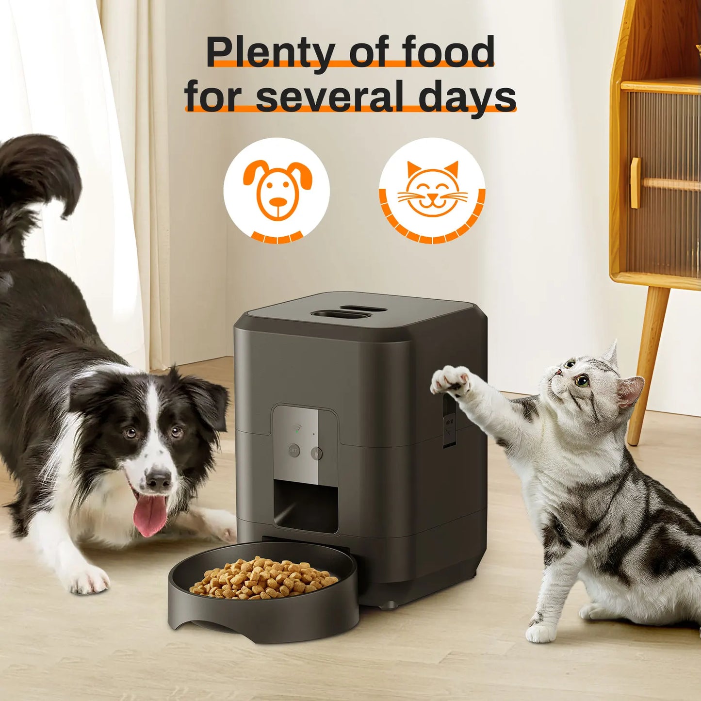Smart Pet Feeder with App Control