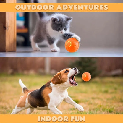 Electric Amusement Pet Ball