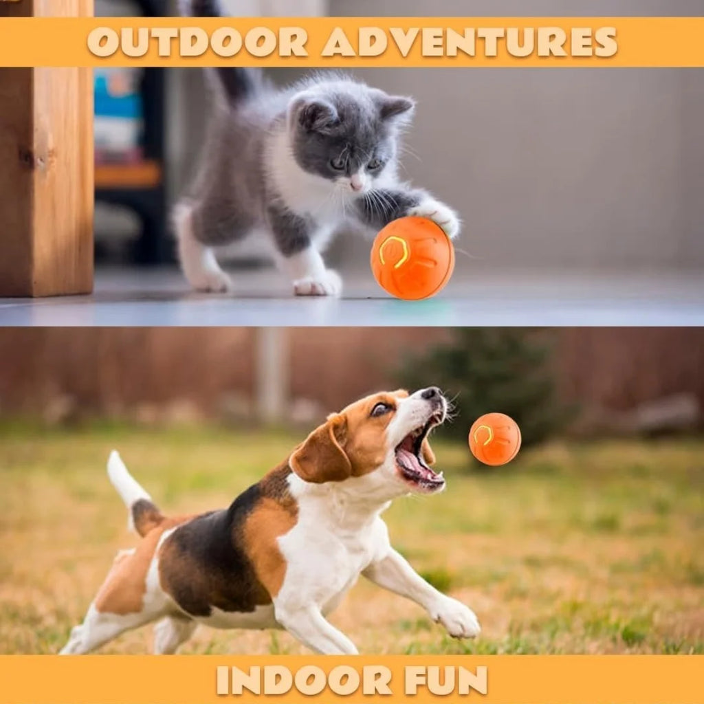 Electric Amusement Pet Ball