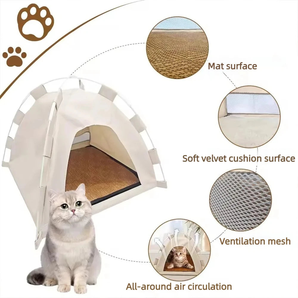 Kitten Tent