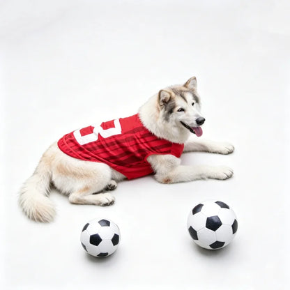 World Cup Soccer Jersey for Dogs